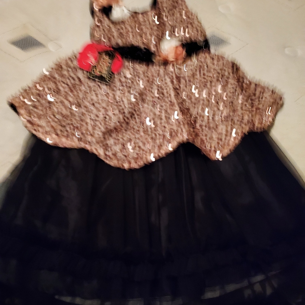 Kid's fancy dress